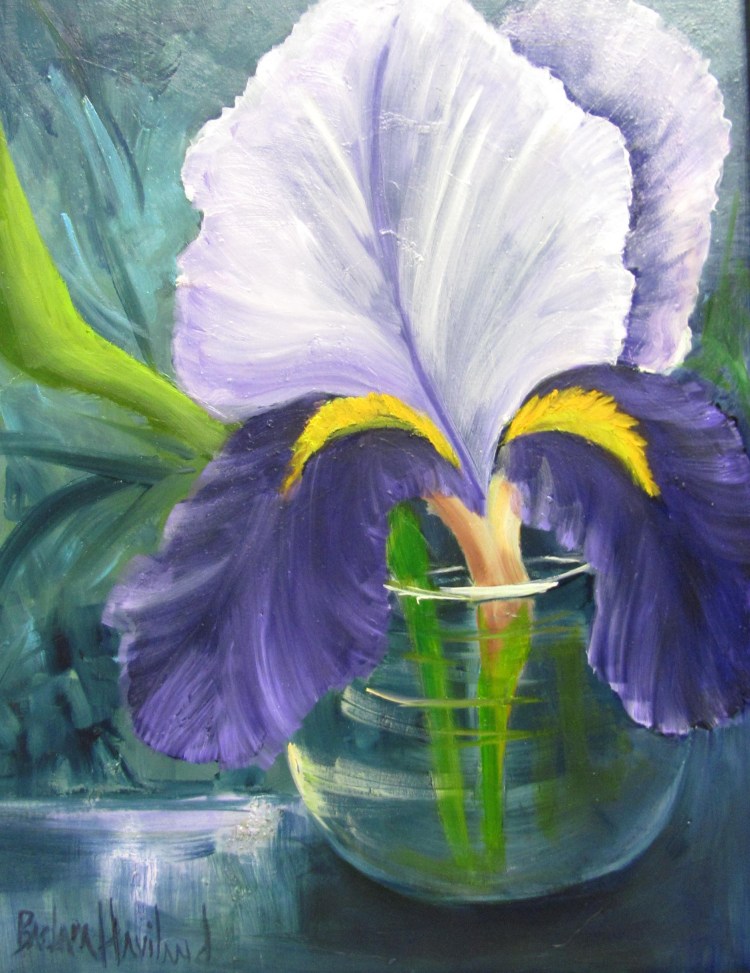 purpleWhiteIris45