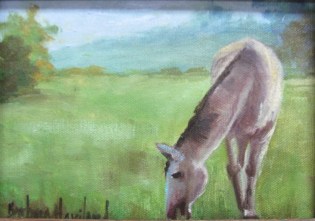 7x5-horse-challenge-002